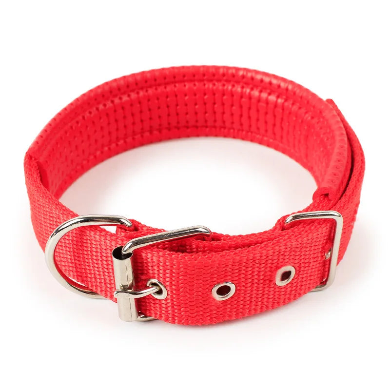 Padded Nylon Dog Collar