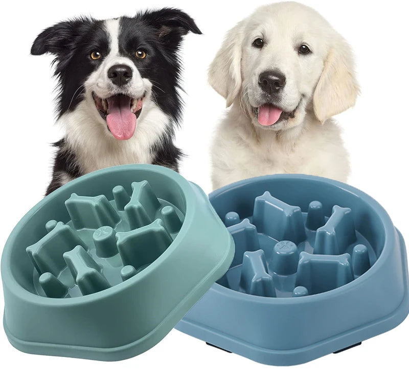 Anti-Choking Slow Feeder Dog Bowl