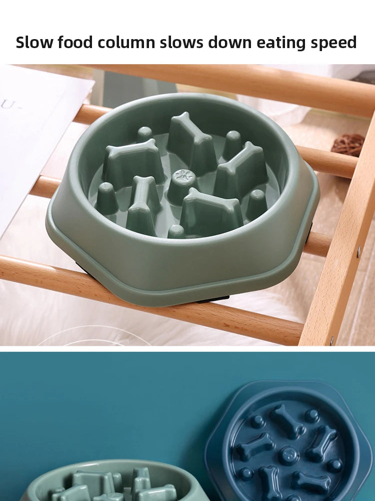 Slow Feeder Bowl