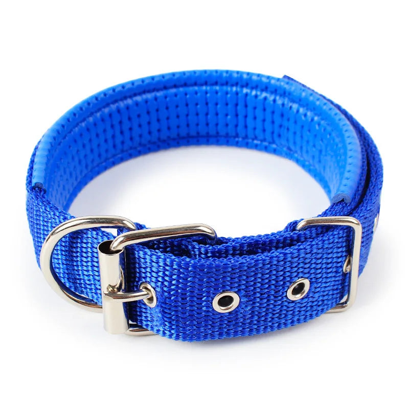 Padded Nylon Dog Collar