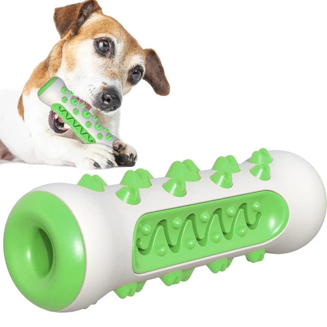 TPR Dog Teething Stick & Toothbrush