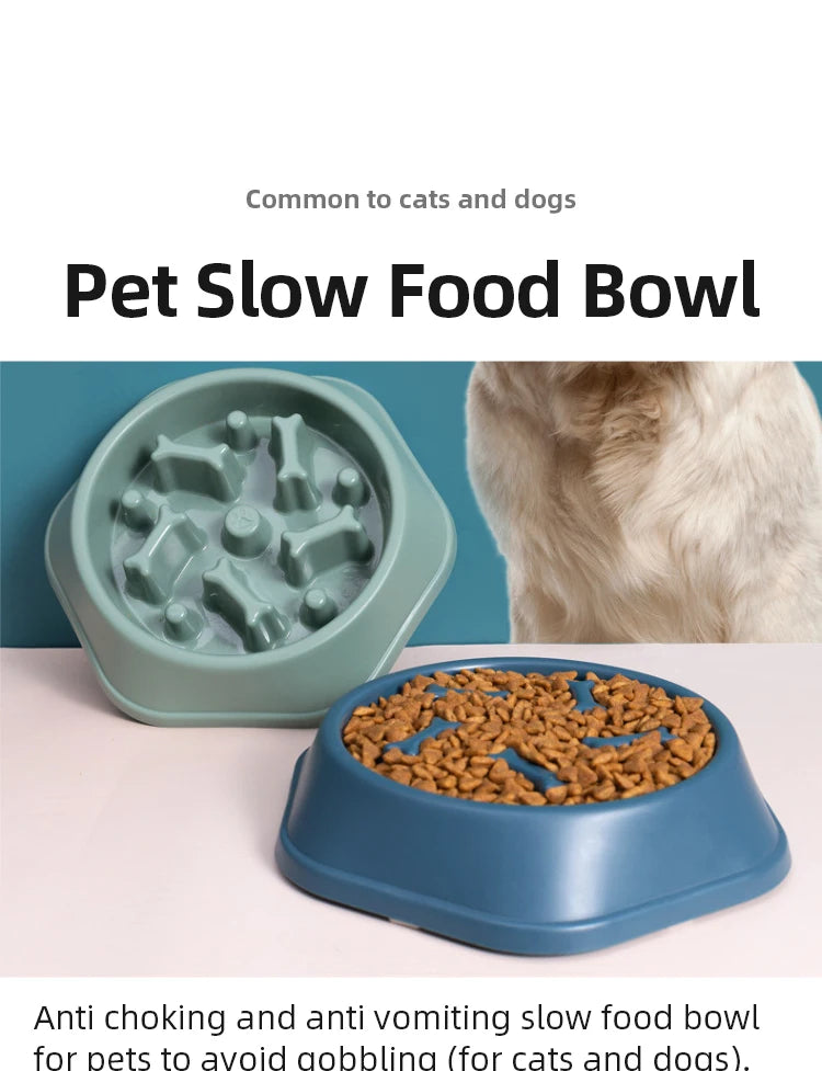 Slow Feeder Bowl