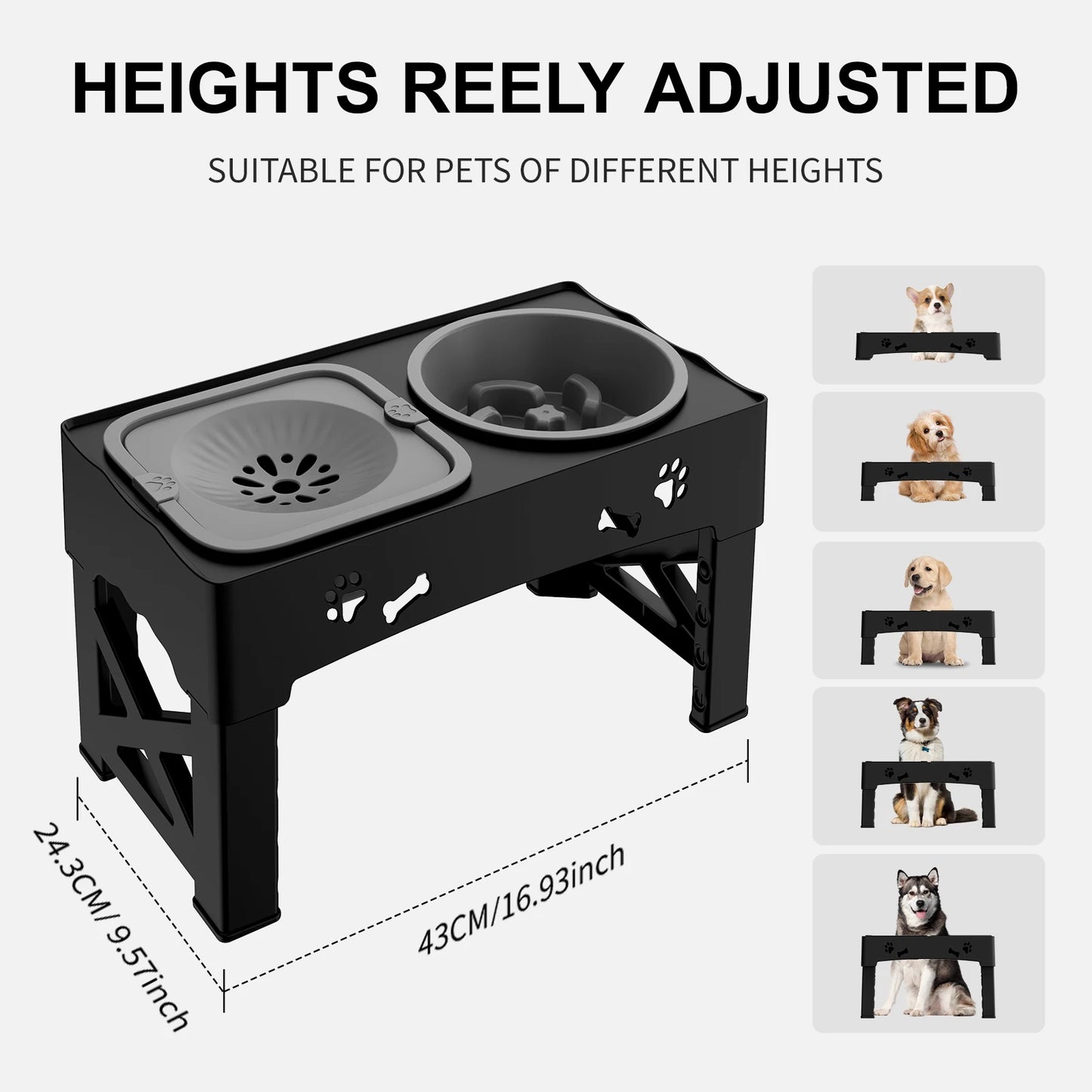 Barksby 3-in-1 Adjustable Dog Feeder