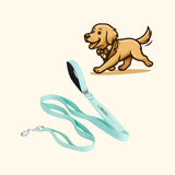 Double Handle Dog Leash