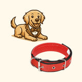 Padded Nylon Dog Collar