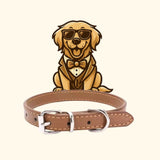 Alloy Buckle Dog Collar