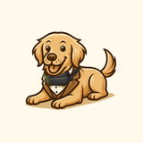 Digital Electric Dog Training Collar