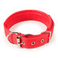 Padded Nylon Dog Collar