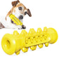 TPR Dog Teething Stick & Toothbrush