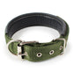 Padded Nylon Dog Collar