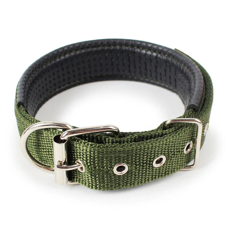 Padded Nylon Dog Collar