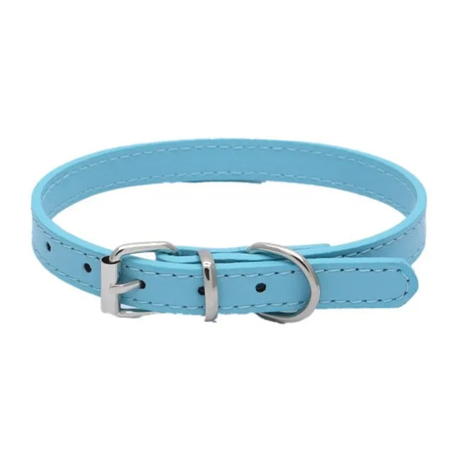 Alloy Buckle Dog Collar