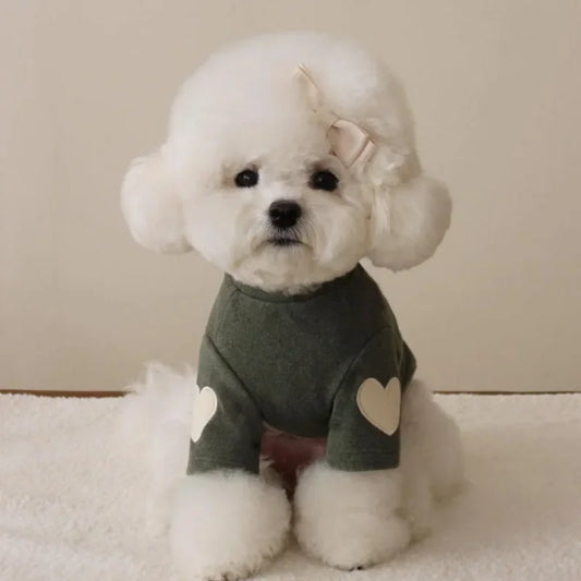 Love Hoodie Shirt