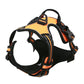 Reflective Dog Harness
