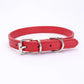 Alloy Buckle Dog Collar