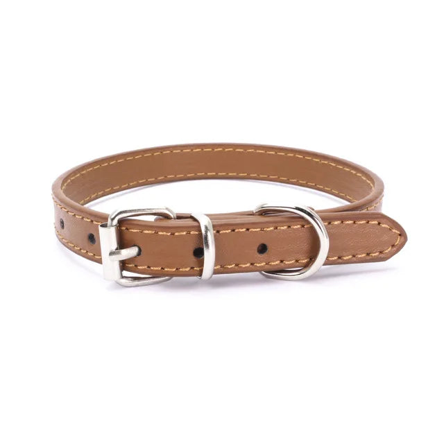 Alloy Buckle Dog Collar