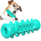 TPR Dog Teething Stick & Toothbrush
