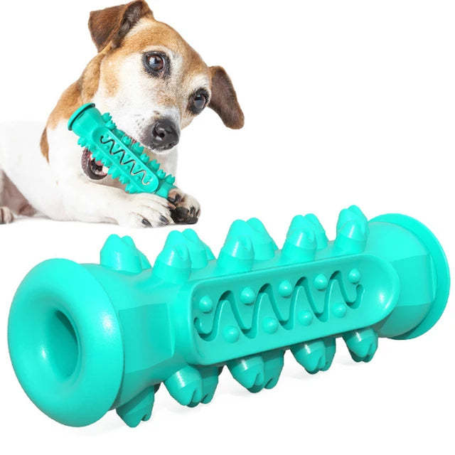 TPR Dog Teething Stick & Toothbrush