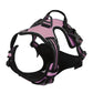 Reflective Dog Harness