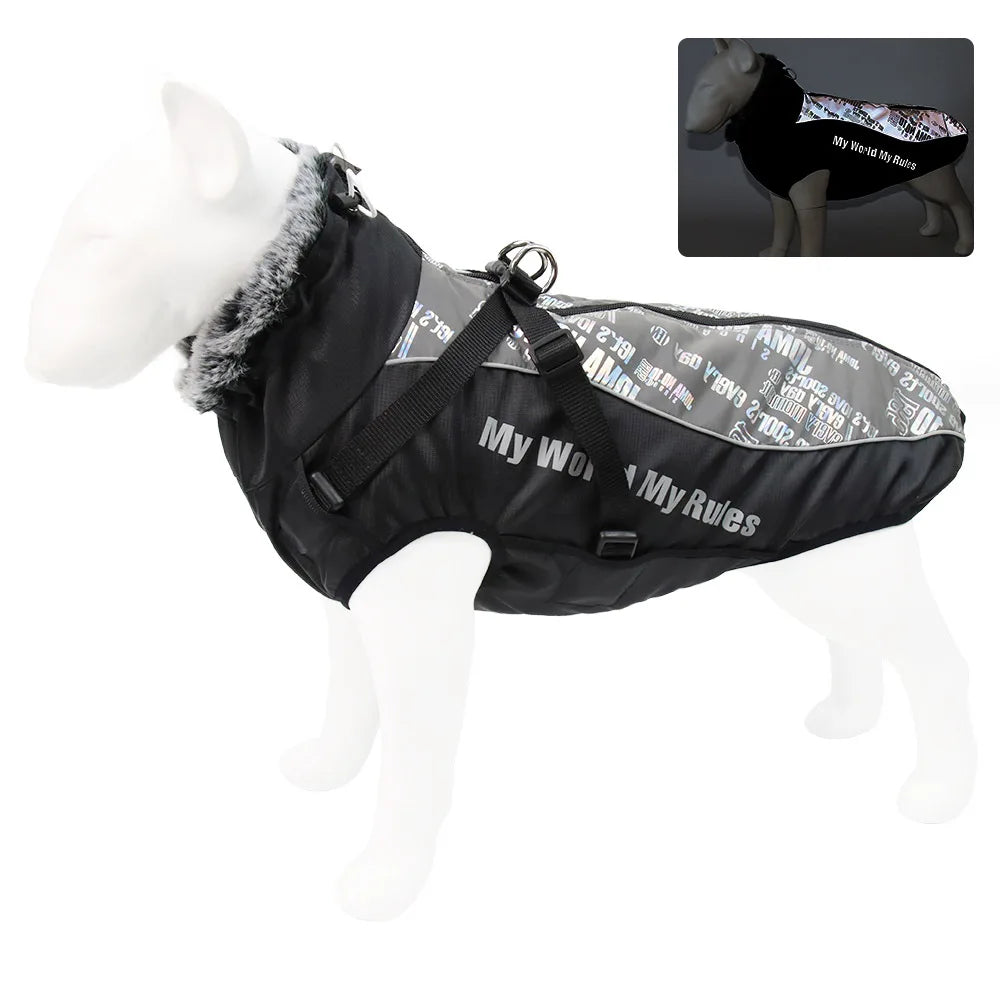 Winter Coat – All-Weather Comfort for Large Dogs