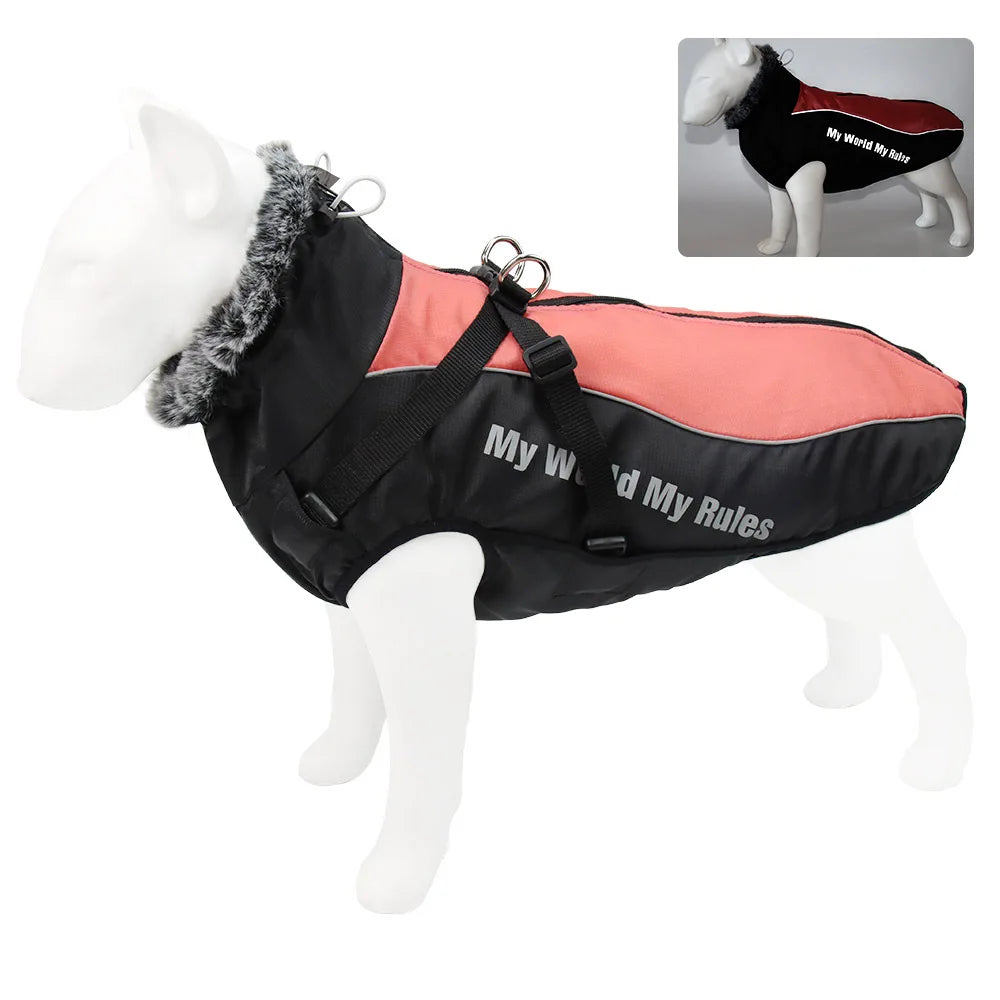 Winter Coat – All-Weather Comfort for Large Dogs