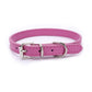Alloy Buckle Dog Collar