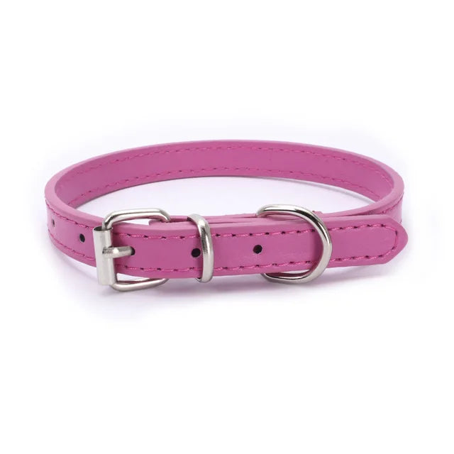 Alloy Buckle Dog Collar