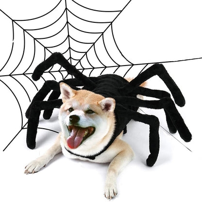 Spider Costume