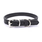 Alloy Buckle Dog Collar