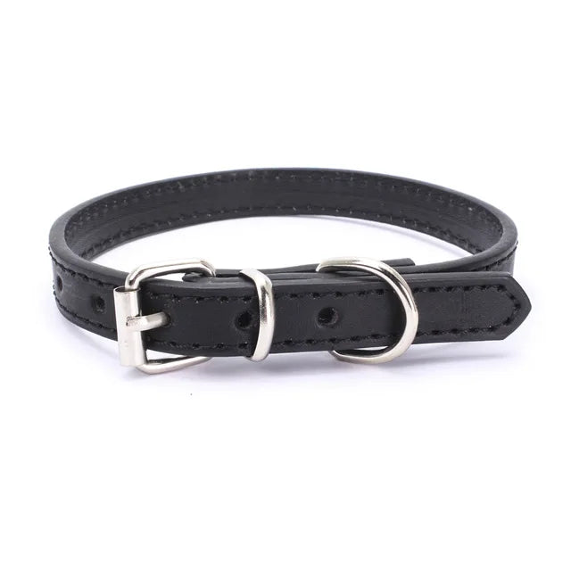 Alloy Buckle Dog Collar