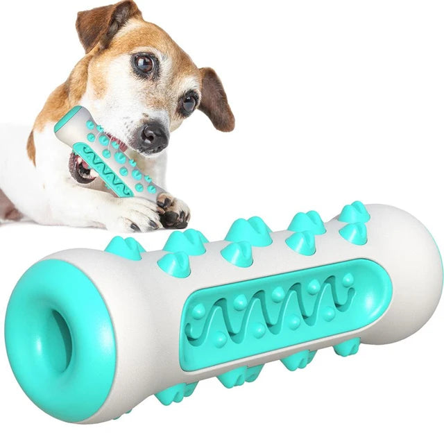 TPR Dog Teething Stick & Toothbrush