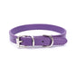 Alloy Buckle Dog Collar