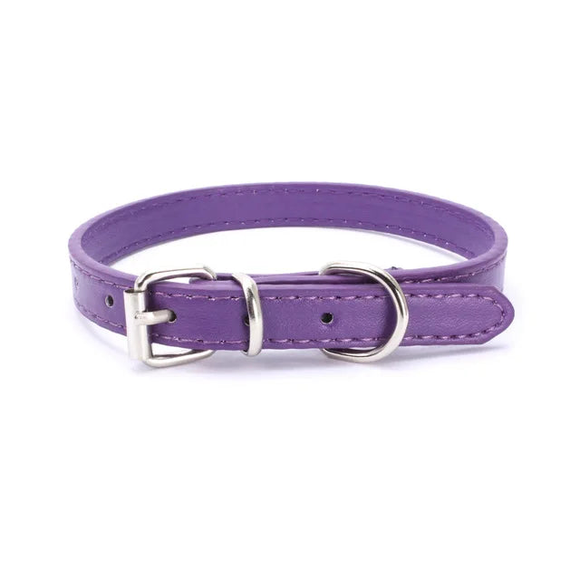 Alloy Buckle Dog Collar