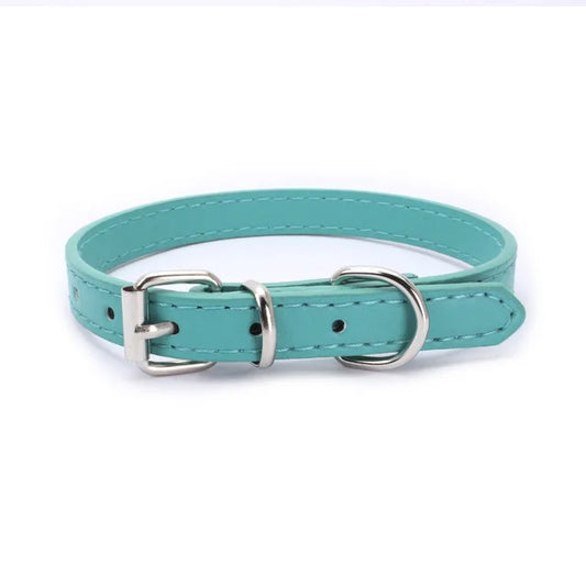 Alloy Buckle Dog Collar