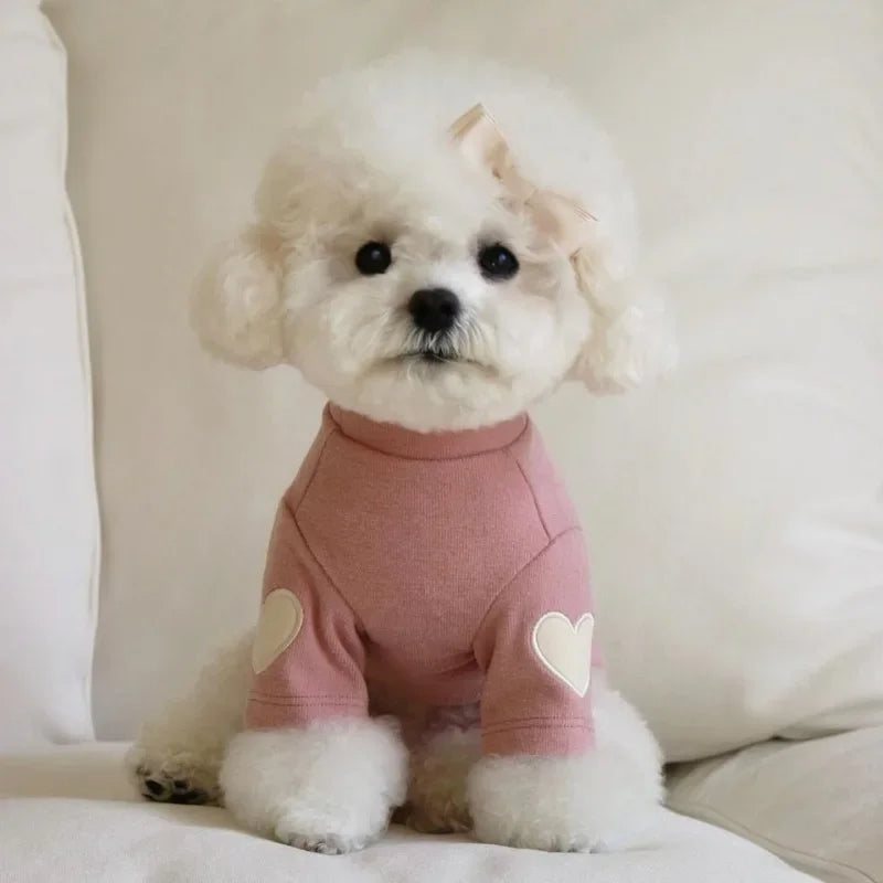 Love Hoodie Shirt