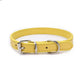 Alloy Buckle Dog Collar