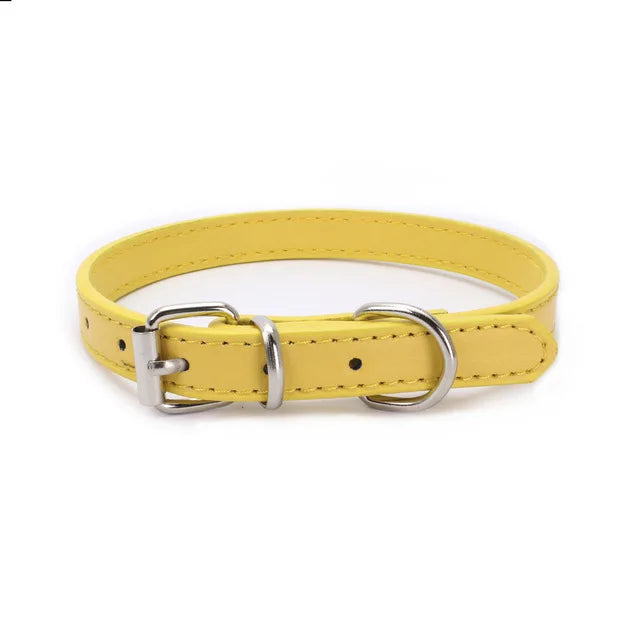 Alloy Buckle Dog Collar