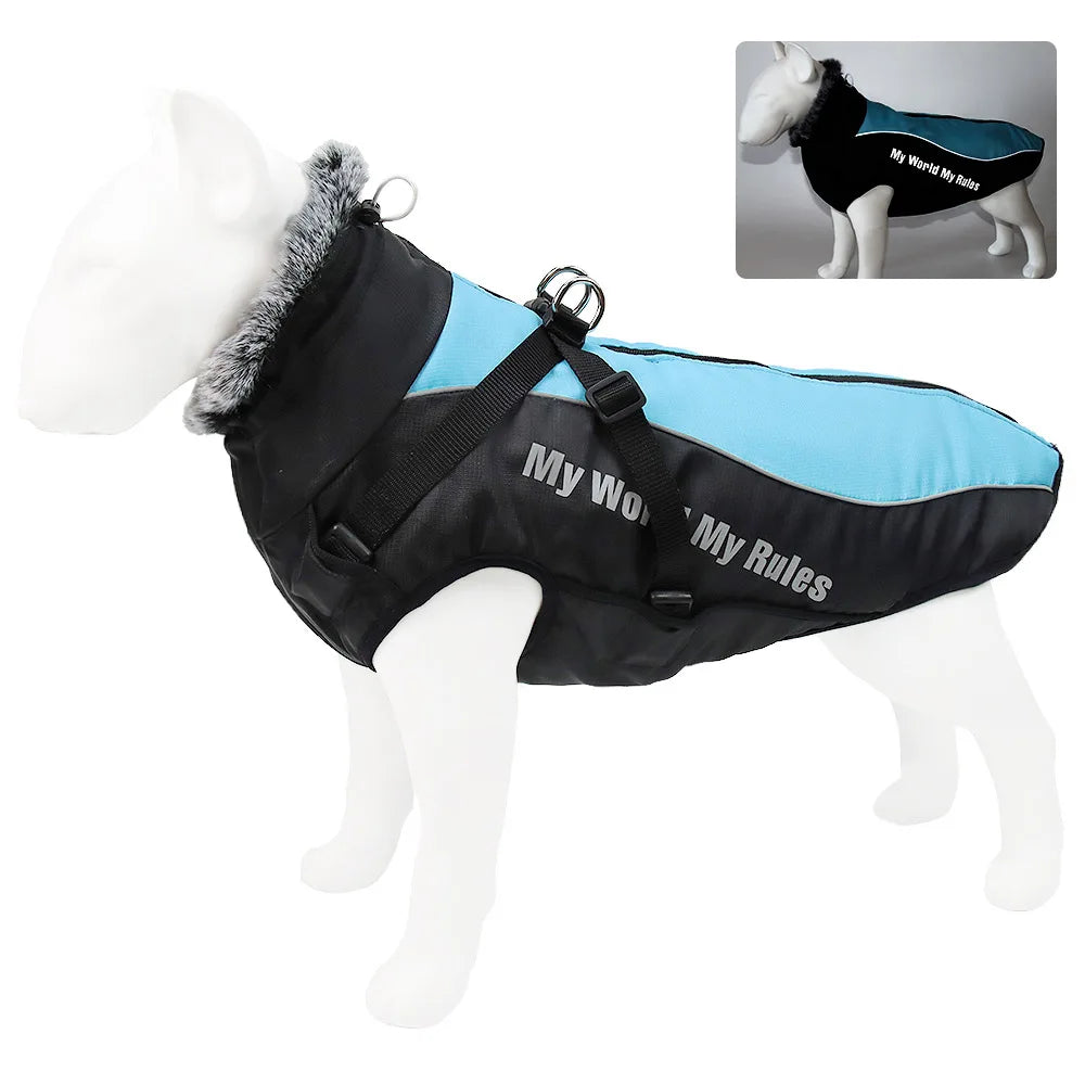 Winter Coat – All-Weather Comfort for Large Dogs
