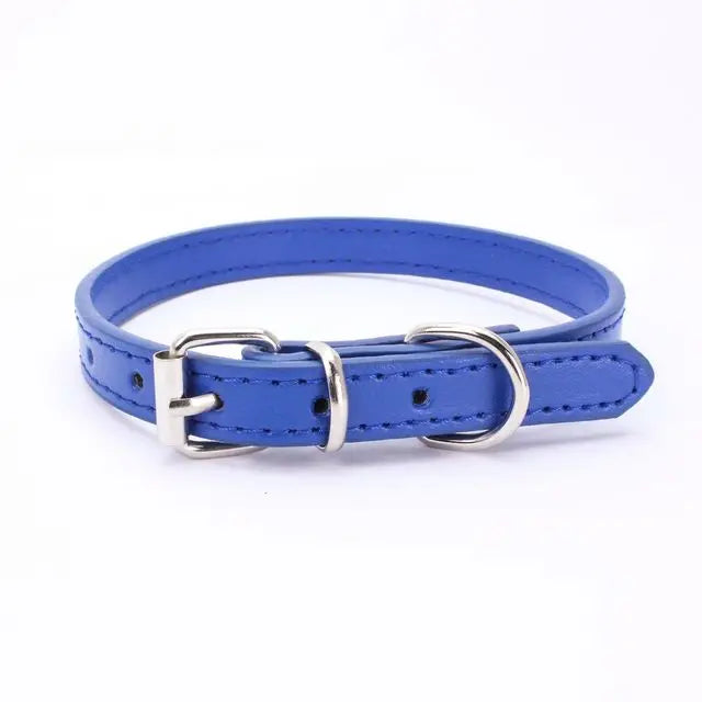 Alloy Buckle Dog Collar