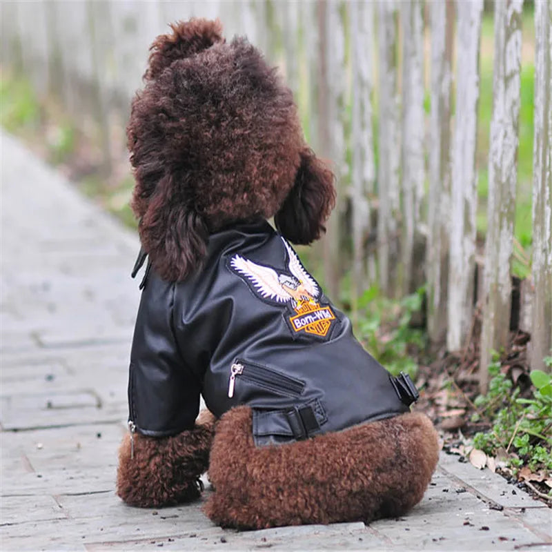 Eagle Jacket