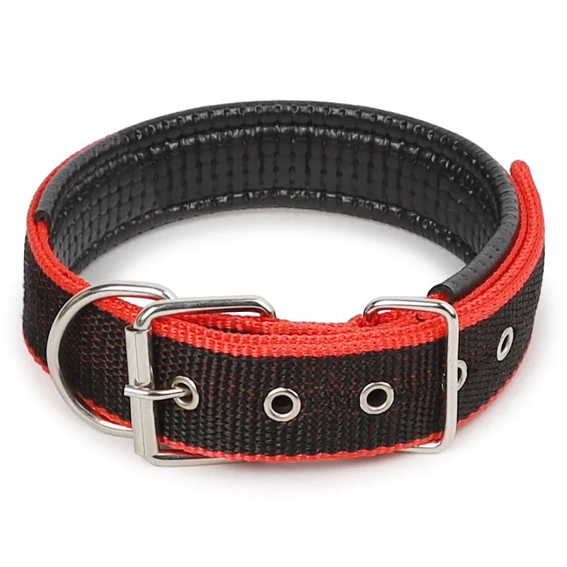 Padded Nylon Dog Collar