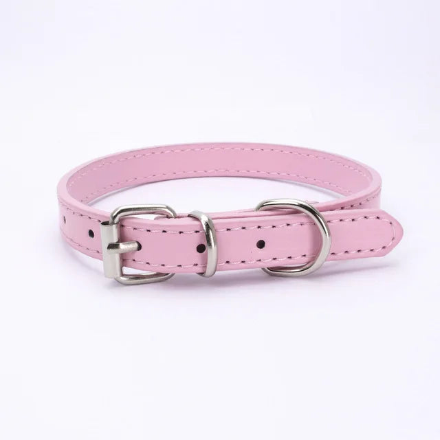 Alloy Buckle Dog Collar