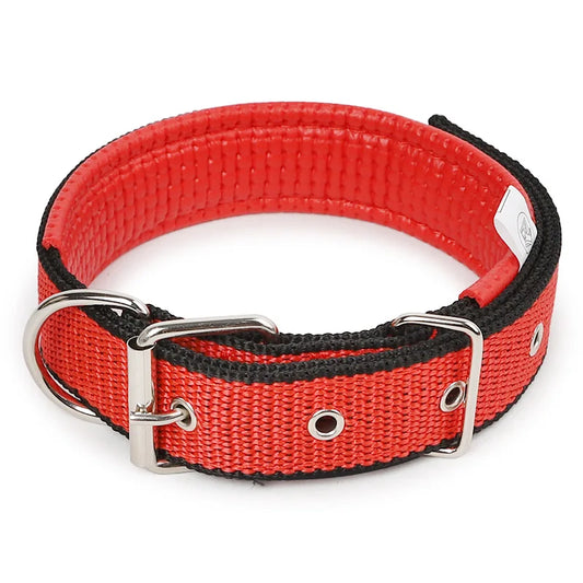Padded Nylon Dog Collar