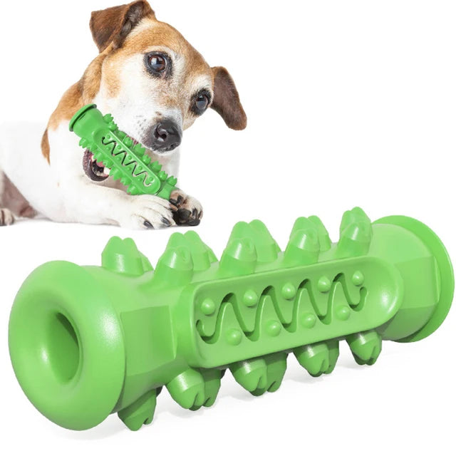 TPR Dog Teething Stick & Toothbrush