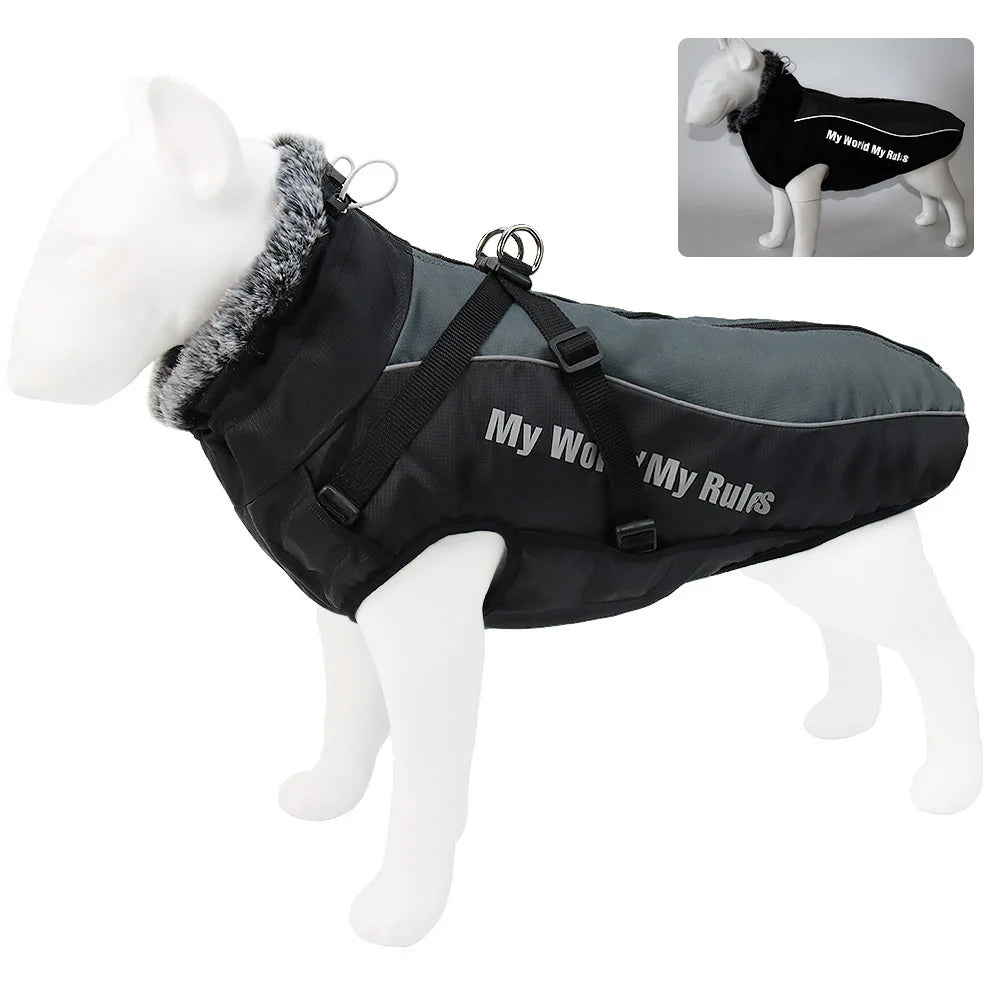 Winter Coat – All-Weather Comfort for Large Dogs