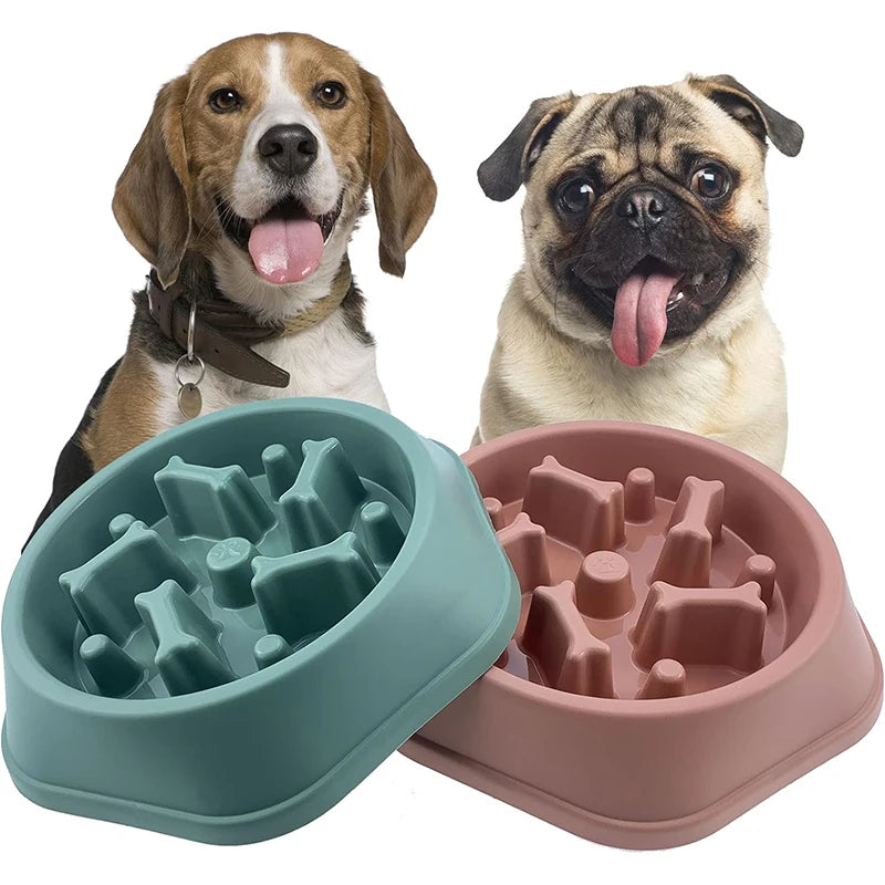 Anti-Choking Slow Feeder Dog Bowl