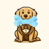 TPR Dog Teething Stick & Toothbrush