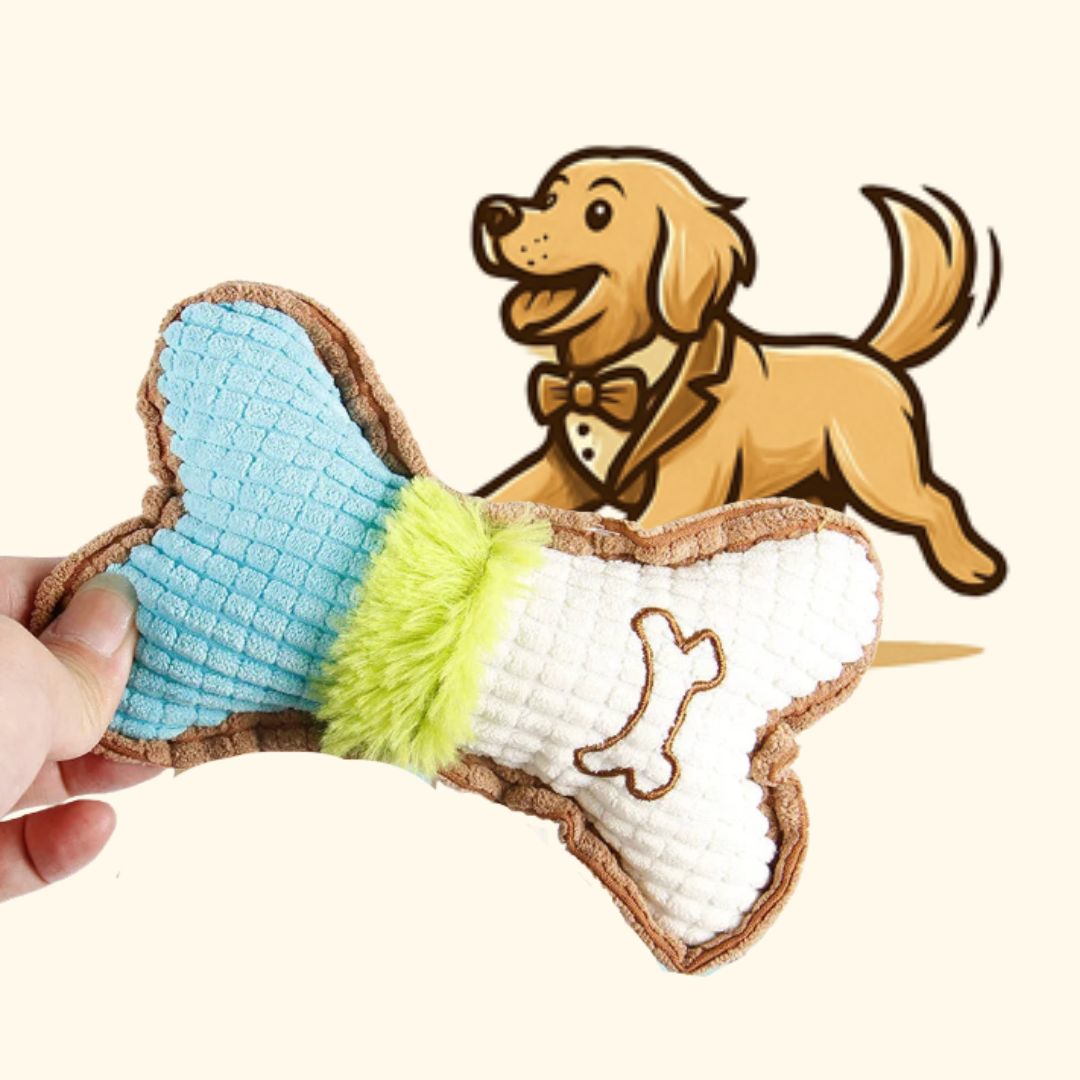 Squeaky Bone Plush Dog Chew Toy