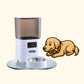 Smart Automatic Pet Feeder with Camera