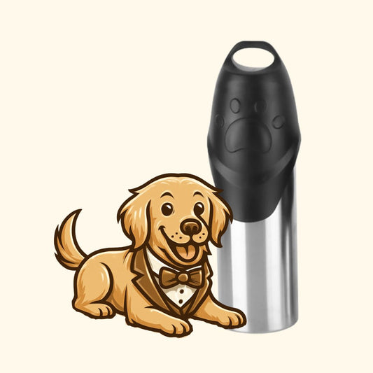 Stainless Steel Portable Dog Water Bottle